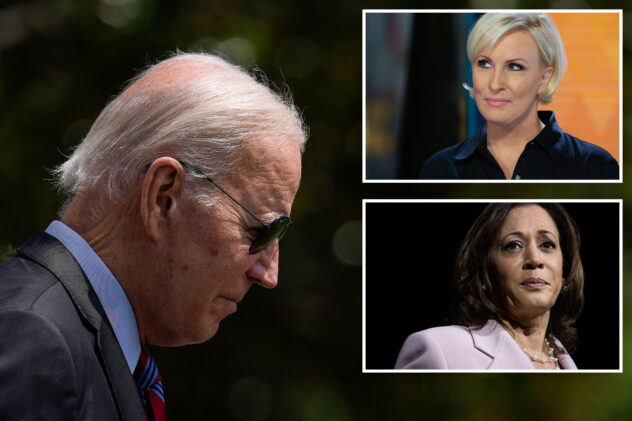 Biden’s next stumble could sideline him — putting Harris in charge