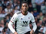 Fulham's Adarabioyo agrees personal terms in principle with Monaco