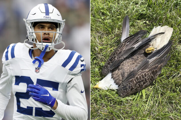 NFL safety Rodney Thomas’ father arrested for fatally shooting bald eagle