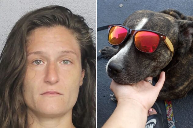 Pit bull dies after being left in hot car for 20 hours in Fla., owner arrested