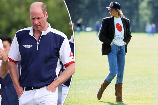 Prince William is ‘doing his best’ to fix this issue in the royal family just like Diana hoped to: royal expert