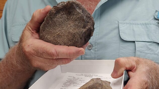 UT scientists find first Jurassic vertebrate fossils