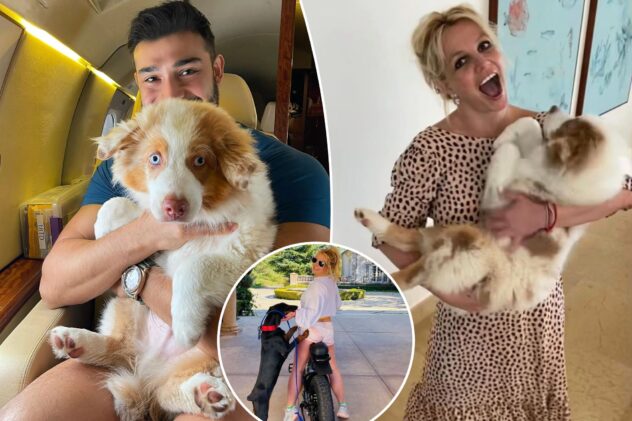 Britney Spears refusing to let Sam Asghari keep dogs amid divorce: report