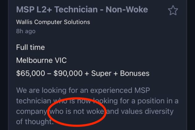 Company lists job ad for ‘non-woke’ employee: ‘No requirements for pronouns’