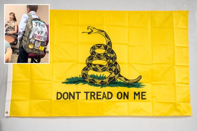 Gadsden flag: How ignorant are the folks running the schools?