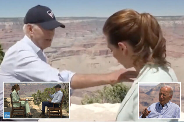 Handsy President Biden brushes bug off Stephanie Abrams’ chest during Weather Channel interview