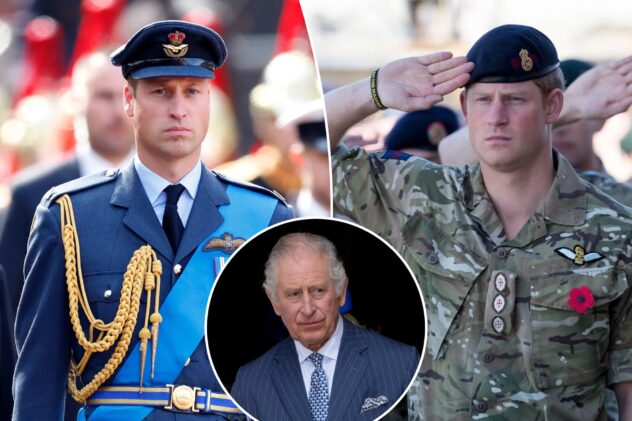 King Charles gives Prince William command of Harry’s old Army unit in major royal reshuffle