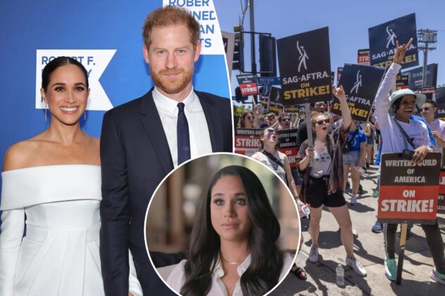 Meghan, Harry have ‘last’ chance to salvage their image during ‘industry shutdown’: expert