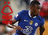 Nottingham Forest in advanced talks to sign Callum Hudson-Odoi from Chelsea with the winger surplus to requirements under Mauricio Pochettino and training with the U-21s