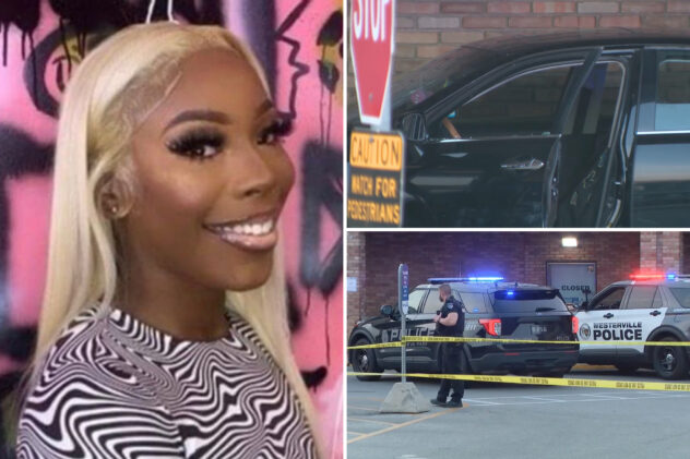Pregnant woman accused of stealing alcohol is shot dead by police in Ohio