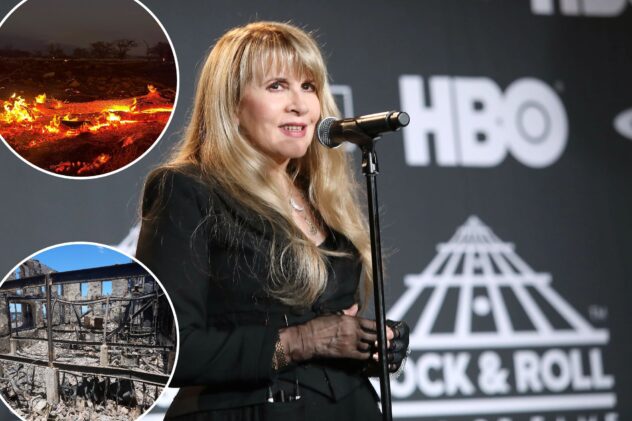 Stevie Nicks defended after her ‘self-centered’ Maui wildfire post