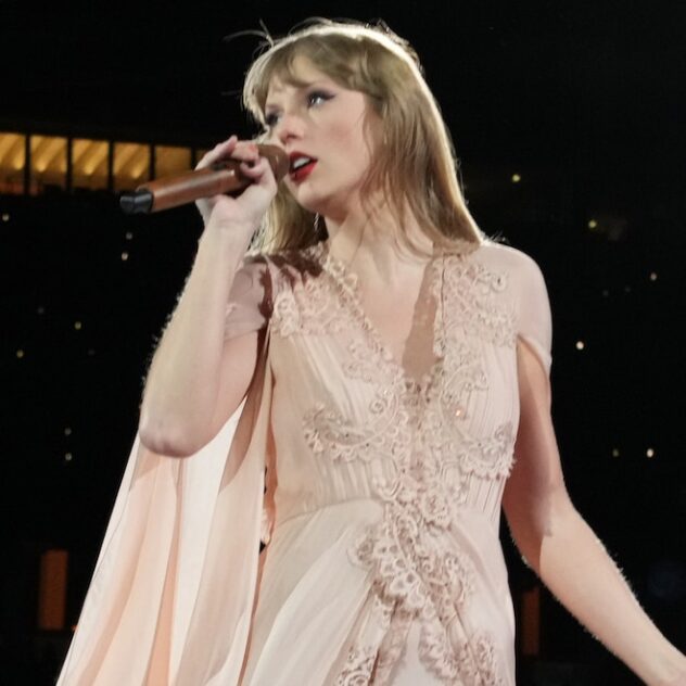 Taylor Swift Concert Security Guard Fired For Asking Fans to Take Pics