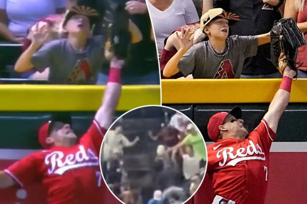 Young fan moved from seat after inference cost Tommy Pham potential homer