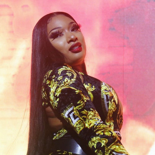 Megan Thee Stallion insists she doesn't chase chart success