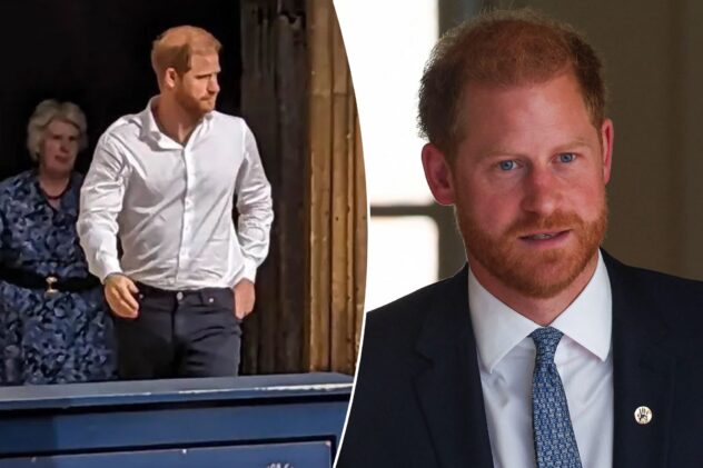 Prince Harry is ‘lonely’, ‘isolated’ one year after queen’s death: expert