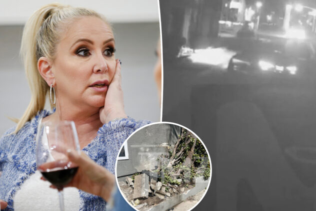 Shannon Beador hit-and-run video shows her speeding, crashing into building before DUI arrest