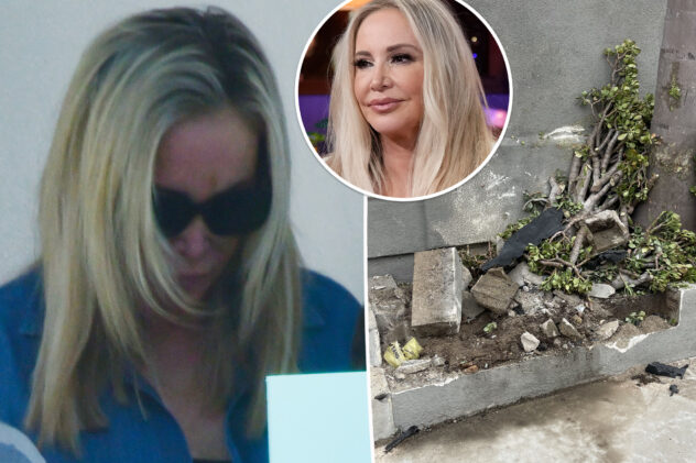 Shannon Beador looking into treatment centers, offering to pay for property damage after DUI arrest: report