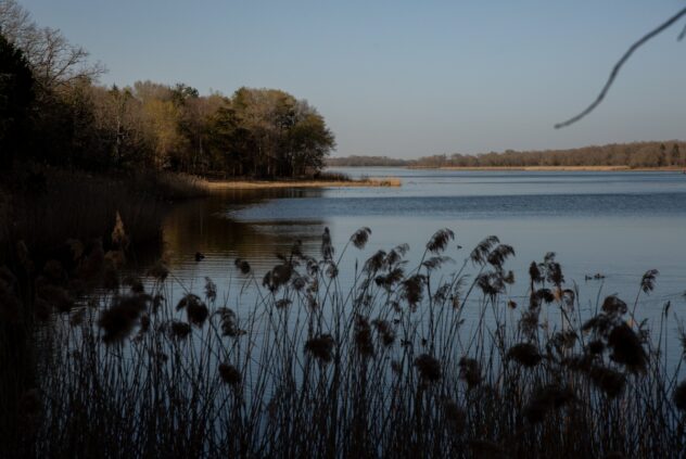 Texas takes legal action to save Fairfield Lake State Park