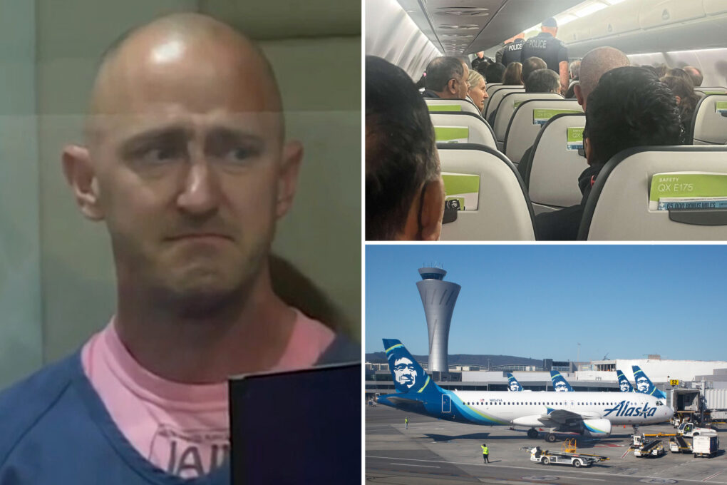 Alaska Airlines pilot who flipped out in midair was afraid to report depression, his wife claims