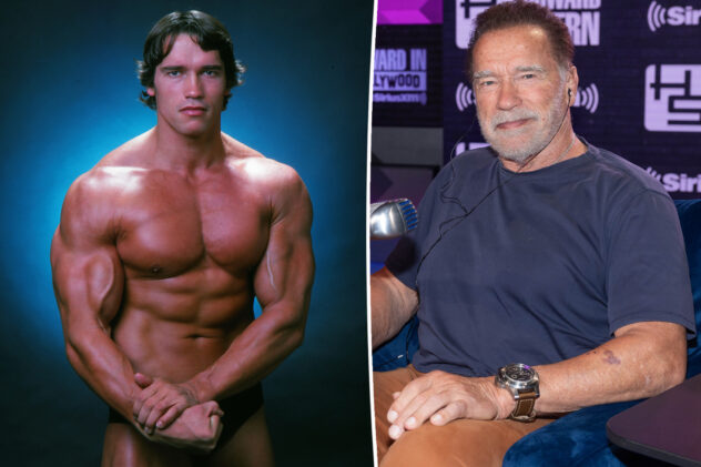 Arnold Schwarzenegger on aging and body image struggles: ‘It just sucks’