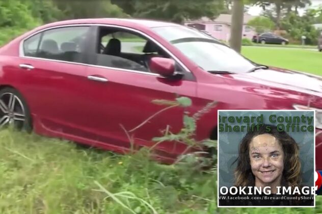 Florida woman beat up mom, stole her car – and then hit her with it: cops