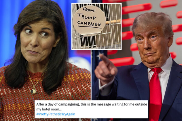 Nikki Haley campaign fires back at Trump team’s ‘creepy and desperate’ birdcage gift