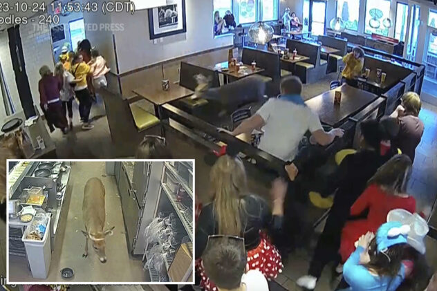 Oh dear-Restaurant patrons scatter as deer bursts through window