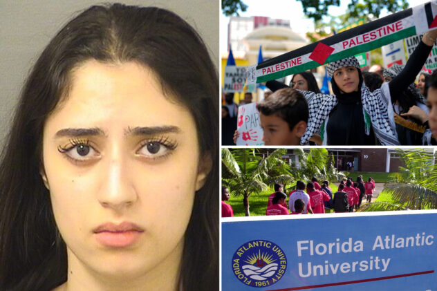 Pro-Palestinian Florida co-ed charged with kicking cop during campus rally