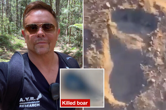 Researcher claims suspicious footprints, boar ‘ripped f–king clean in half’ proves existence of Australia’s Bigfoot