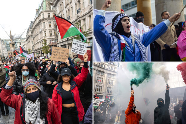 11 pro-Palestinian protesters arrested in London as tens of thousands demand Gaza ceasefire