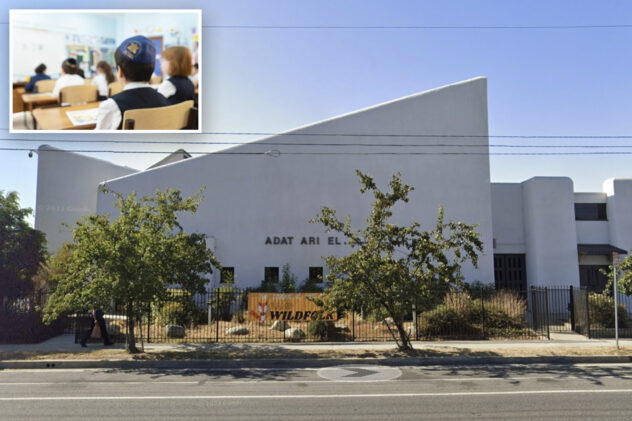 2 LA charter school teachers removed for teaching 1st graders about ‘genocide in Palestine’ in class at synagogue