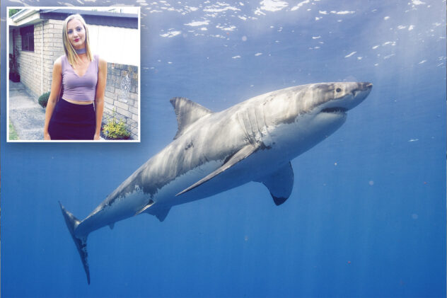 Australian diver, 32, bit in the face by shark, needed to have her teeth surgically removed: report