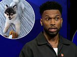 EXCLUSIVE: Sky Sports are set to be dragged into Daniel Sturridge's legal fight against American rapper who claims the pundit owes him a $30,000 reward for finding his lost dog in 2019