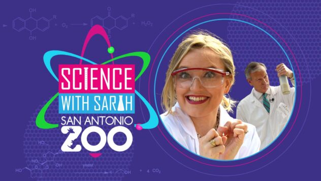 🧪 Science with Sarah: Makin’ waves with sound 🔊
