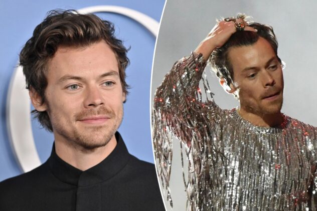 Harry Styles fans shocked over shaved head reveal: ‘Ruined my entire life’