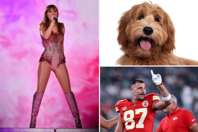 ‘Kelce’ becomes top trending dog name in 2023 amid NFL star’s romance with Taylor Swift