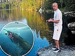 Manchester City striker Erling Haaland reveals he flies Norwegian salmon to the UK… because fish at the stadium 'isn't up to scratch'