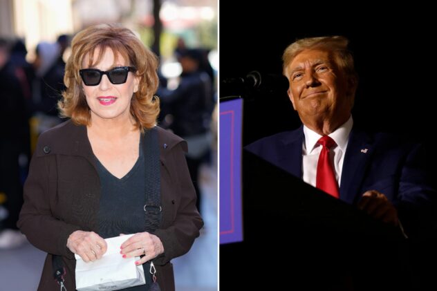 ‘The View’ co-host Joy Behar dares former President Donald Trump to take ‘revenge’ on her if reelected: ‘Try it’