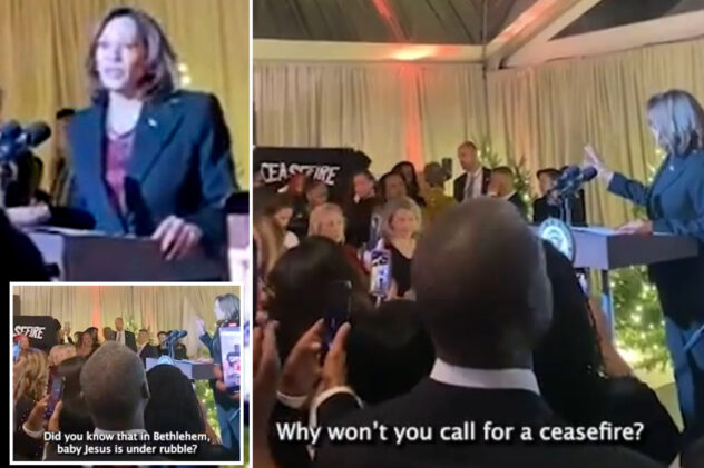 Kamala Harris heckled by Democratic state lawmaker demanding Gaza cease-fire during holiday party speech
