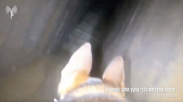 WATCH: Israel's four-legged soldiers uncover Hamas tunnel in Gaza City