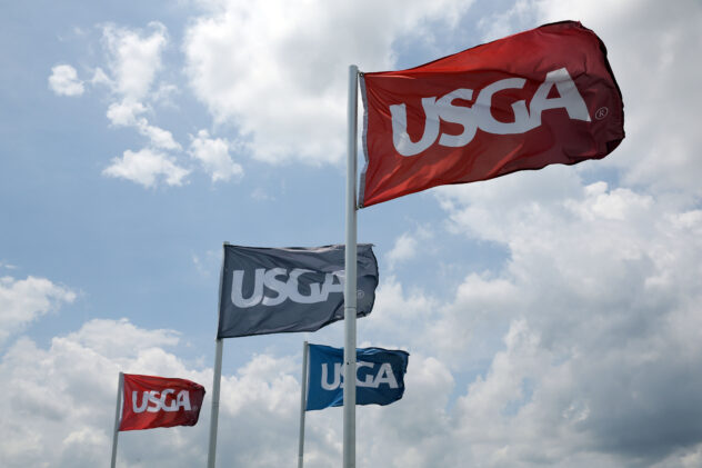 What's the average USGA handicap index by state? Mississippi leads the way, while last place is a shocker