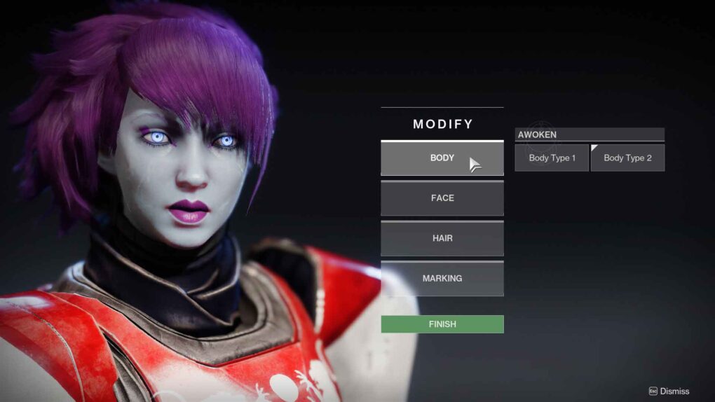 A decade later, Destiny will finally let you change your face