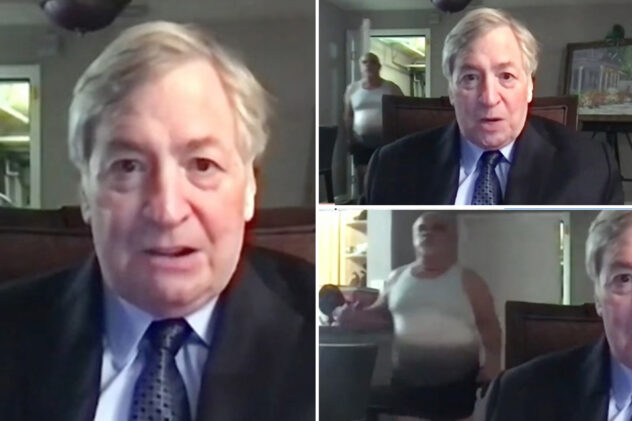 Man wearing nothing but underwear strolls into frame during Dick Morris Newsmax interview