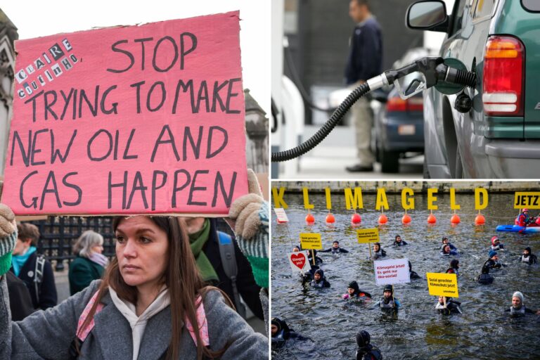 How young elites are protesting against their own best interests