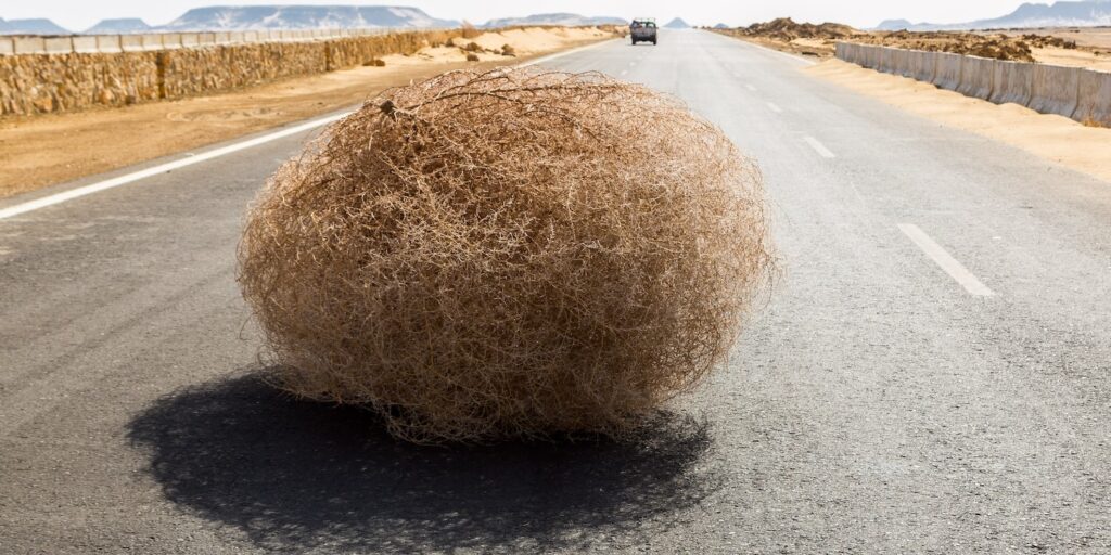 It’s Transfer Deadline Day …