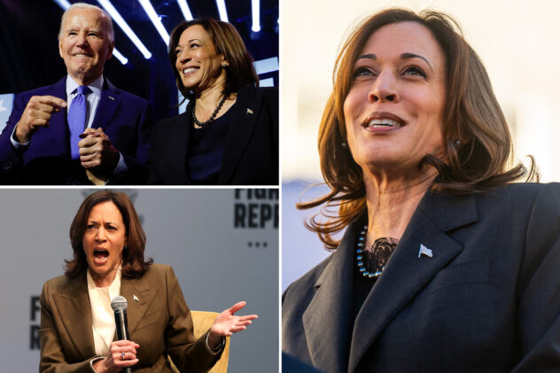 Kamala Harris insists she’s ‘ready to serve,’ touts her ‘capacity to lead’