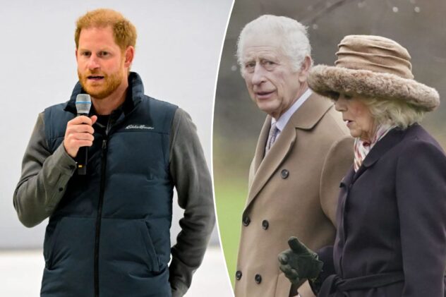 King Charles ‘firmly of the opinion’ that Prince Harry can’t return as working royal: report
