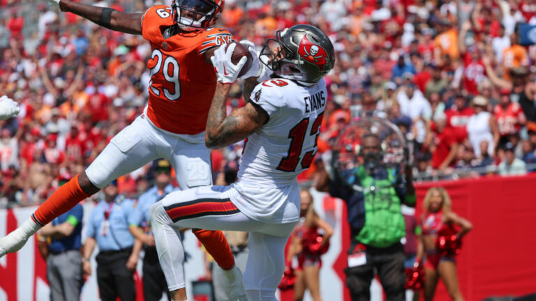 National outlet predicts Mike Evans signs with an NFC North team