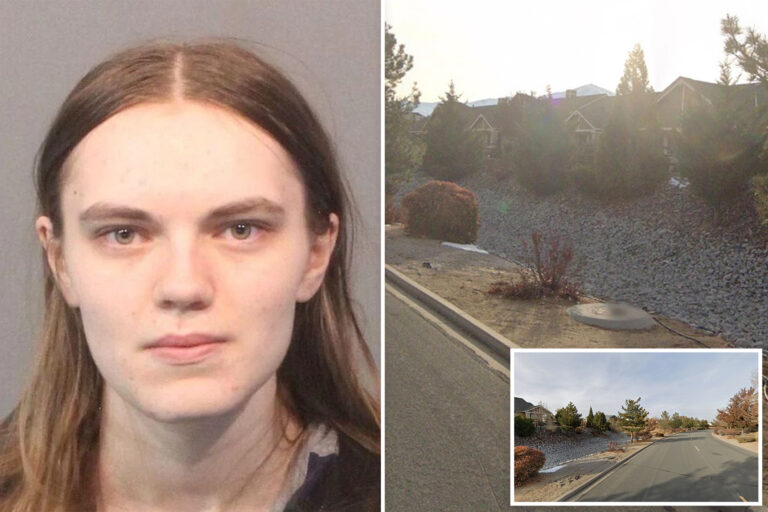 Teen girl allegedly murdered dad, brother, then called 911 on herself: ‘I couldn’t resist the urge to kill’