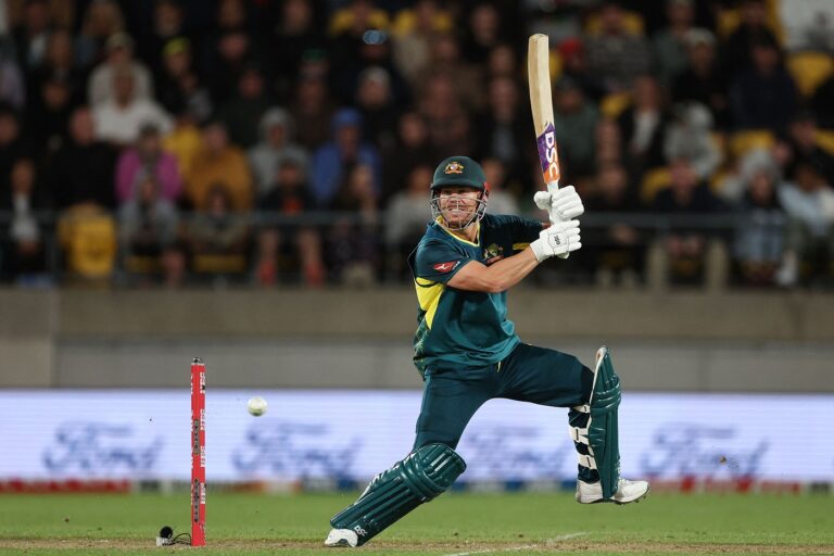 Warner ruled out of final T20I, but expected to be fit for start of IPL